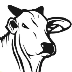 FEIRA DE ANIMAIS DE LAJES DO CABUGI RN.