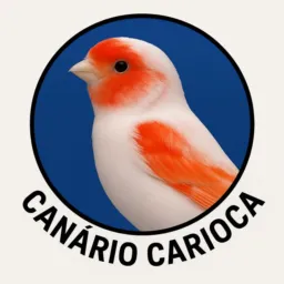 ⭐️Canário Carioca⭐️