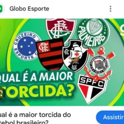 TORCIDA BRASIL🇧🇷