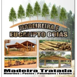 Madeireira eucalipto Goiás 🌳