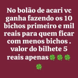 Bolão de acari 2