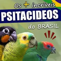 🦜*MUNDO DOS PSITACÍDEOS*🦜