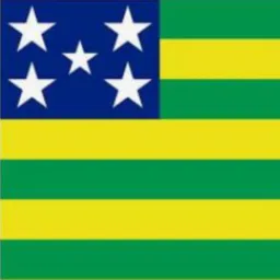 Goianesia Alerta 4