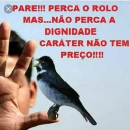 Rolo em geral  RJ