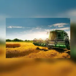 Agro-sinop. Vagas Região do MT 🌱