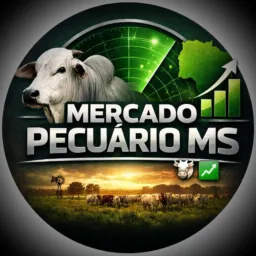 ®️Mercado Pecuário MS 🐂