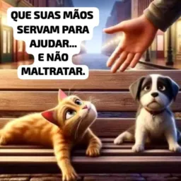 ❉্͜͡🐈🐕DOAÇAO E VENDAS DE PET'S BRAGANÇA🐕🐈❉্͜͡