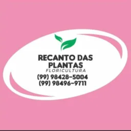 RECANTO DAS PLANTAS 🎍🌷🌹🎄🌲🌵