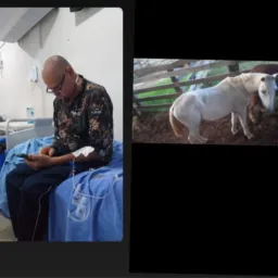 Rifa beneficente, para pagamento dos custo de tratamento de câncer do nosso amigo cunhado do Vando