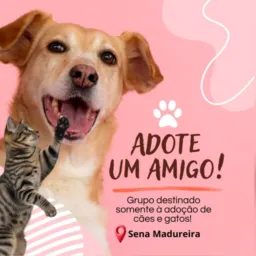 ADOTE UM AMIGO 🐈‍⬛🐶 - SENA MADUREIRA!