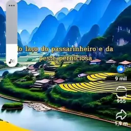 Falar simoes-filho vendas e noticiassss🥳🧐 de olho nas notícias