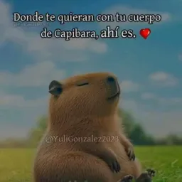 Grupo divertidos 😆