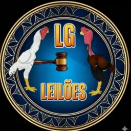 🔥 LG LEILÃO 🔥