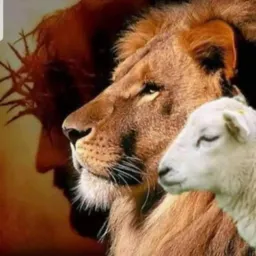 Grupo De Vendas Bênção de Deus