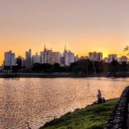 Feira Rolo São José Rio Preto