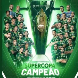 PALMEIRAS SUB LINKS OFC⚔️⚔️