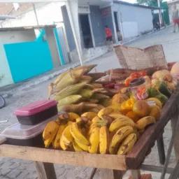 Feira de mangaio