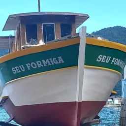 Só traineiras vendas e acessórios
