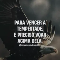 MAIS QUE VENCEDORES🙇🏻♀️👑