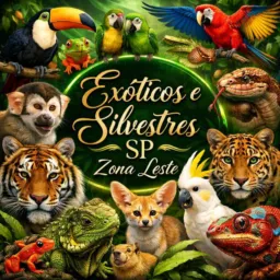 Exóticos é silvestres Sp zona leste