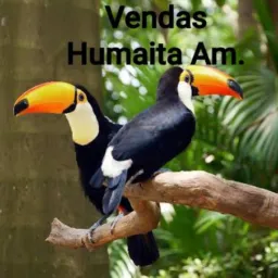 Humaita VENDAS