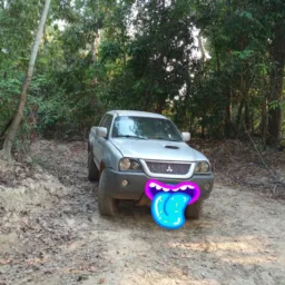 Vendas e troca Aripuanã