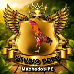 STUDIO POPÓ