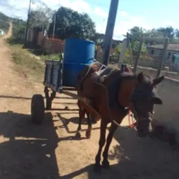 Grupo do amigo