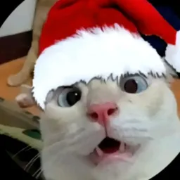 agende sua conta pra pegar no Natal aqui