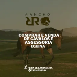 Haras é rancho RR acessória 🚀🐴🐴🐴🚀