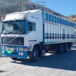 TRANSPORTE PESADO 🚛❤️🚛