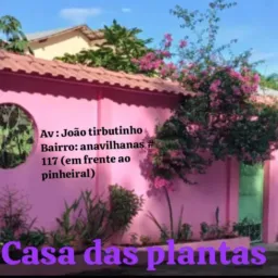 Casa das plantas 🌵🙏🏼🪴🌱