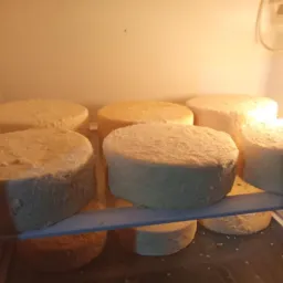Venda de leite e derivado