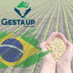 🇧🇷 Venda Insumos- Gesta'Up Company 🇧🇷