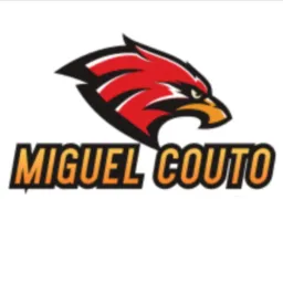 Vendas miguel couto