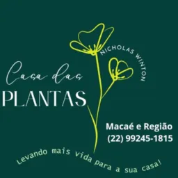 Vendas De Plantas. 🌿🌱🪴🌵🌴🌲🍃🌻🪻🌹🌸💚
