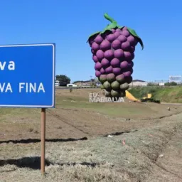 OLX MARIALVA