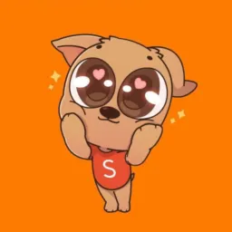 Achados Shopee 🛍️