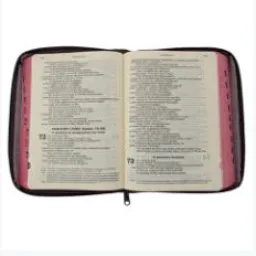 😇 Evangelizar 💒📖🕊️