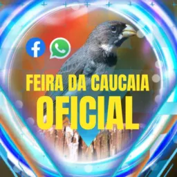 Feira da Caucaia OFICIAL