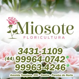 FLORICULTURA MIOSOTE🫶🏻
