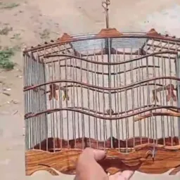 Rifas Arte Do Passarinheiro