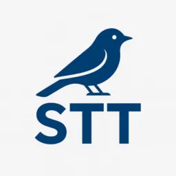 Estagiário STT