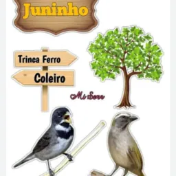 Grupo de passarinho sem frescura 016