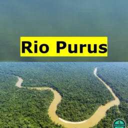 PORTAL DO PURUS ⛴️🏹🌴📡