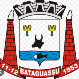 Bataguassu MS Business