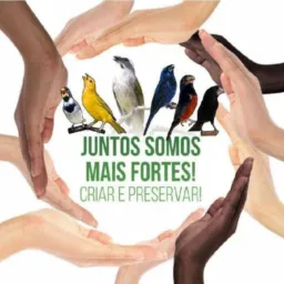 Juntos somos mais fortes,criar e preservar