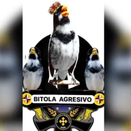 BITOLA AGRESSIVO