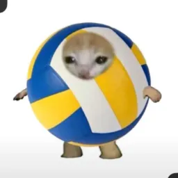 Vôlei 🏐