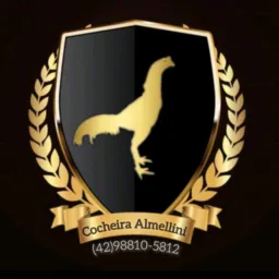 🐣🐓 COCHEIRA ALMELLINI 🔥🧬